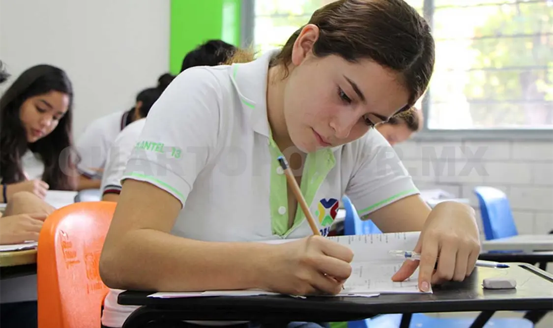 Fomenta en alumnado la expresión escrita