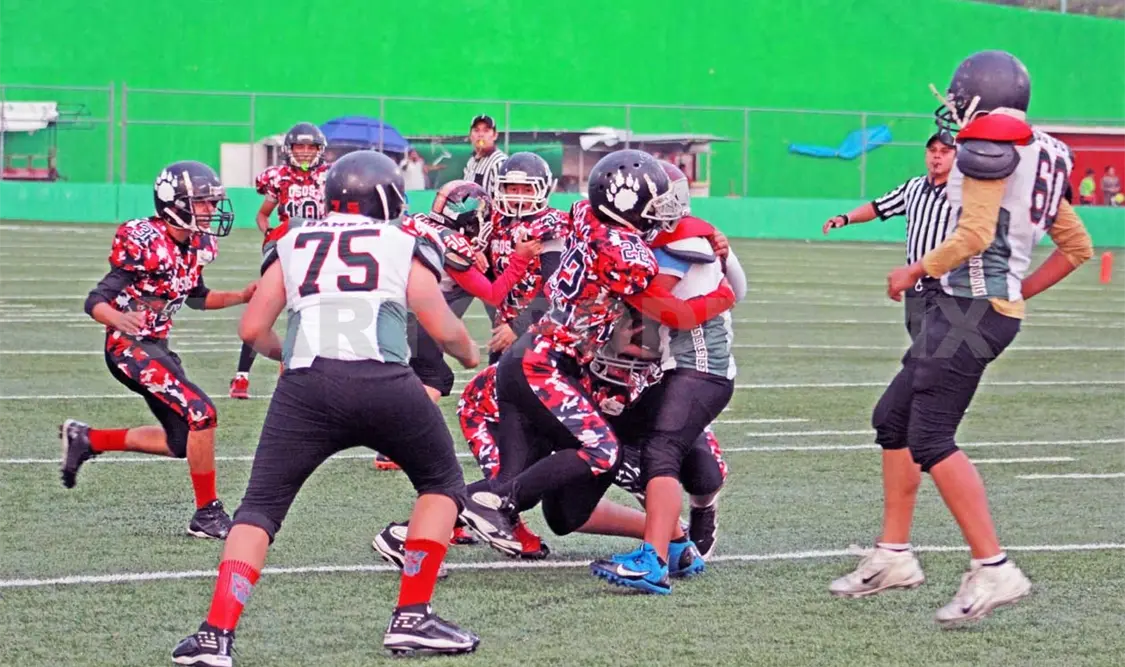 Osos se desquita con su Jr. Bantam