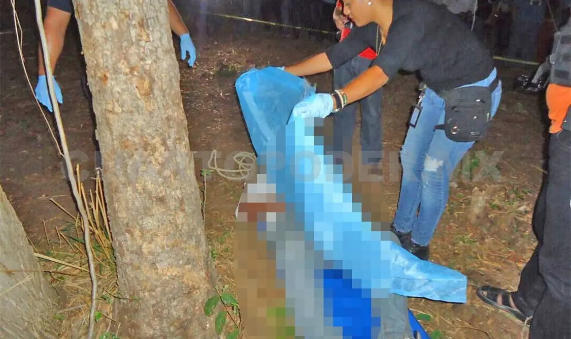 Se ahorcó de un árbol