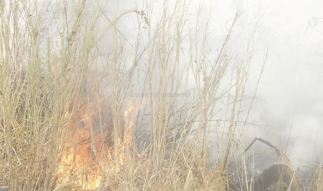 Los 20 incendios que se registraron durante la semana en Chiapas afectaron 333.15 hectáreas. Guillermo Ramos / CP.