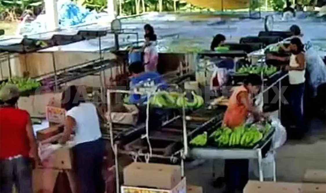 Hombres armados atracaron un rancho bananero en el municipio fronterizo de Suchiate.