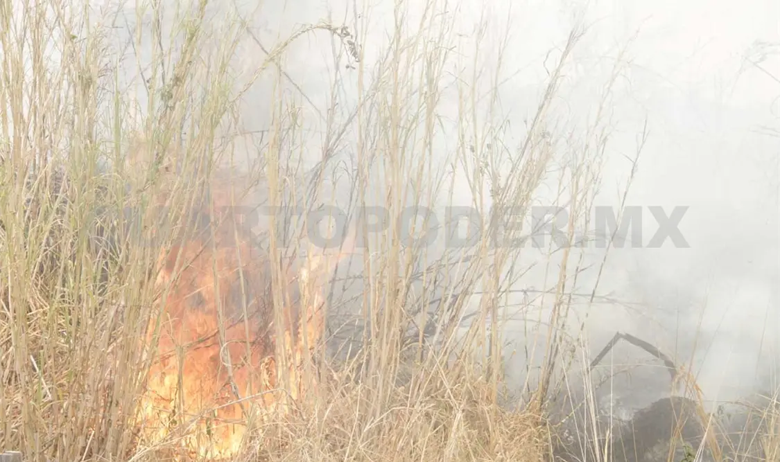 Chiapas, 9o lugar en daños por fuego