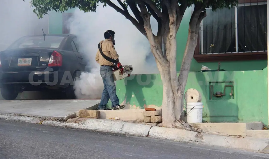 Actualidad del zika en Chiapas y prevención