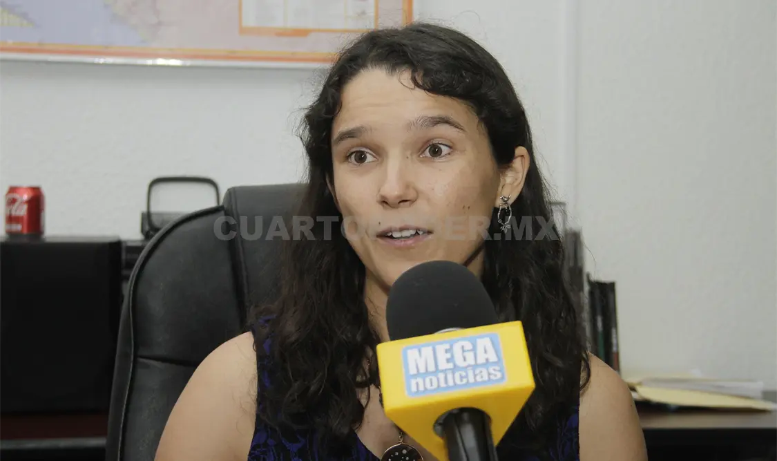 El mes pasado estuvieron trabajando con el CRIT, según declaró Elvira Millán. Guillermo Ramos / CP.