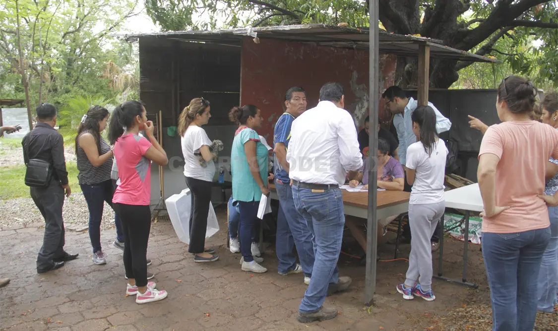 Las personas que desean adoptar un árbol deben presentar copia de identificación oficial. Guillermo Ramos / CP.