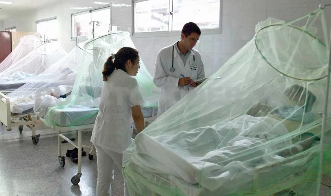 Descartan que zika sea endémico en América