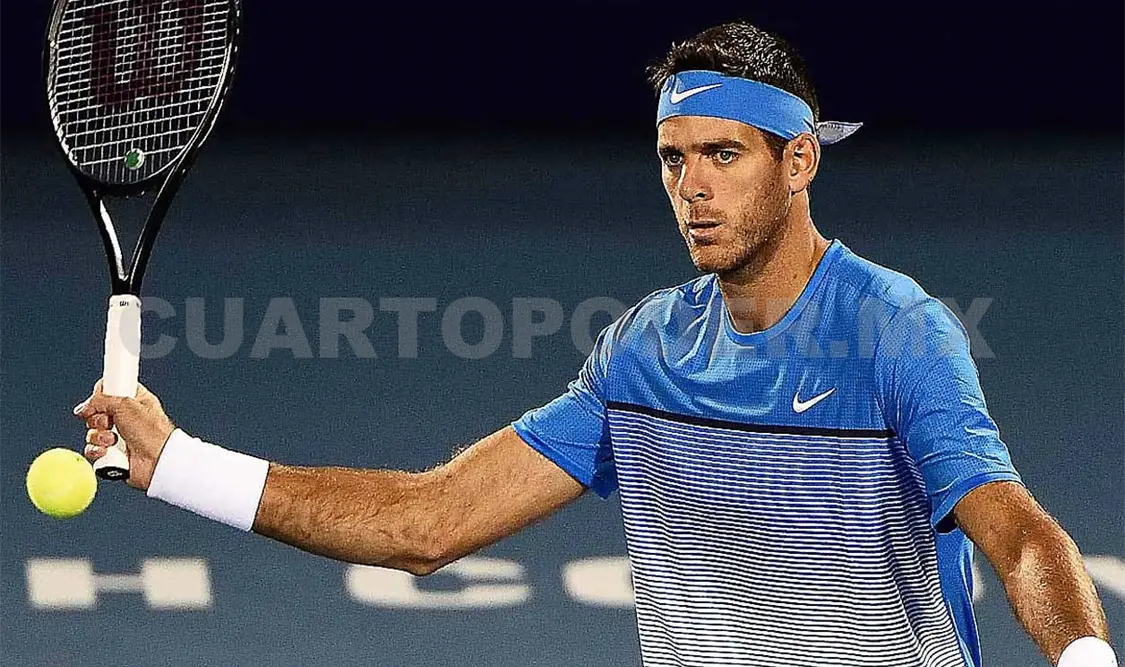 Martín Del Potro elimina a Dimitrov