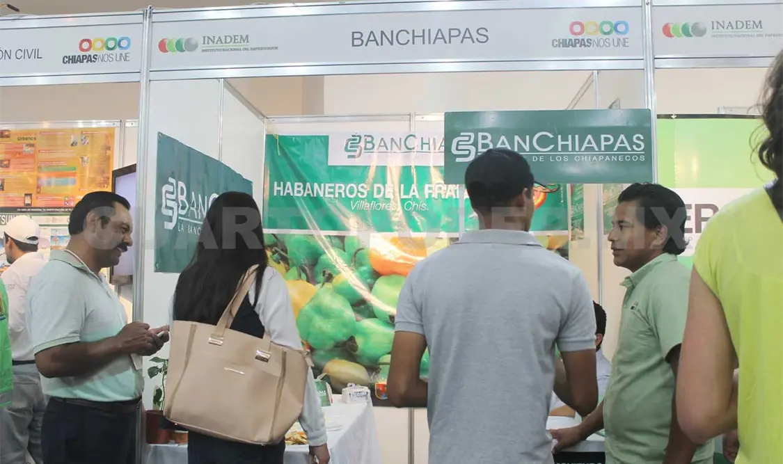 Préstamos cambian vida de comerciantes