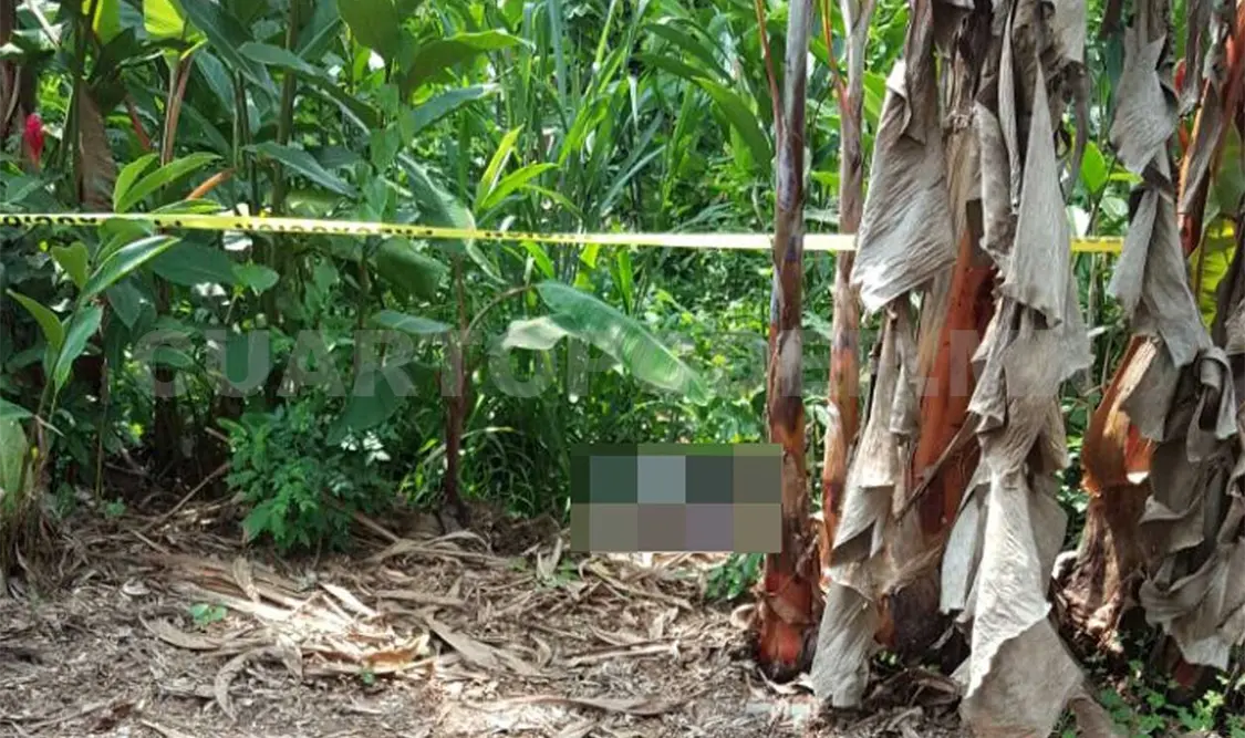 Estaba desaparecida y la hallaron en la morgue