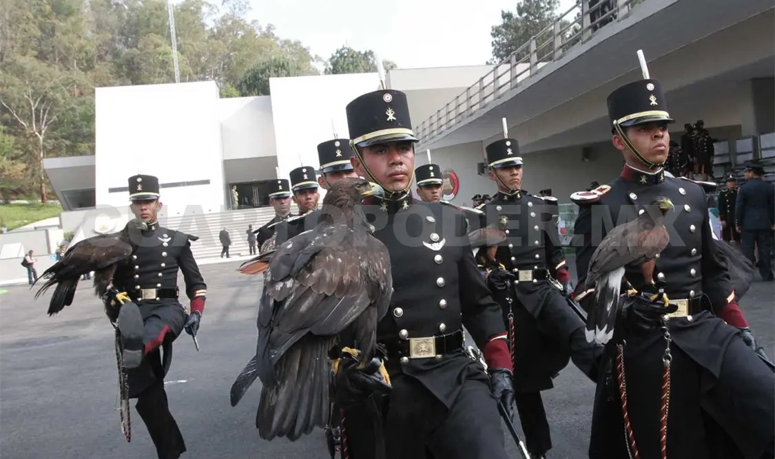 Fuerzas Armadas modifican leyes