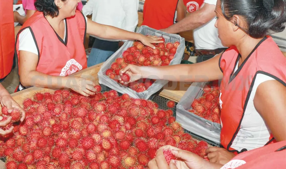 Velasco cumple a productores