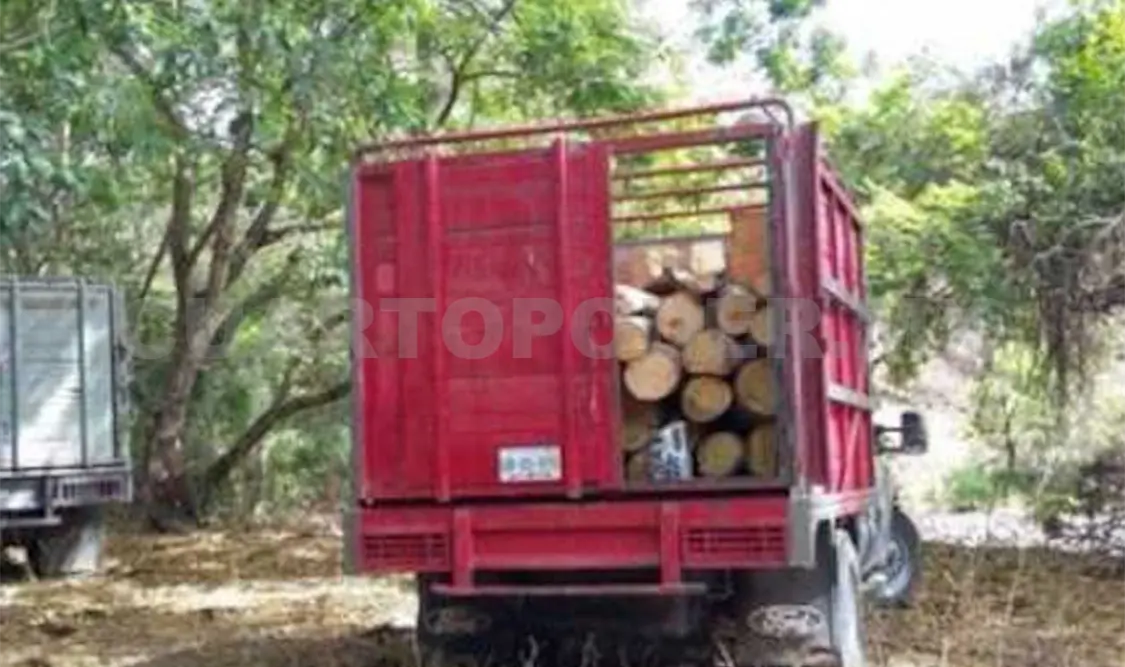 Los cuerpos de los leñadores fueron localizados cerca de sus camionetas cargadas de madera.