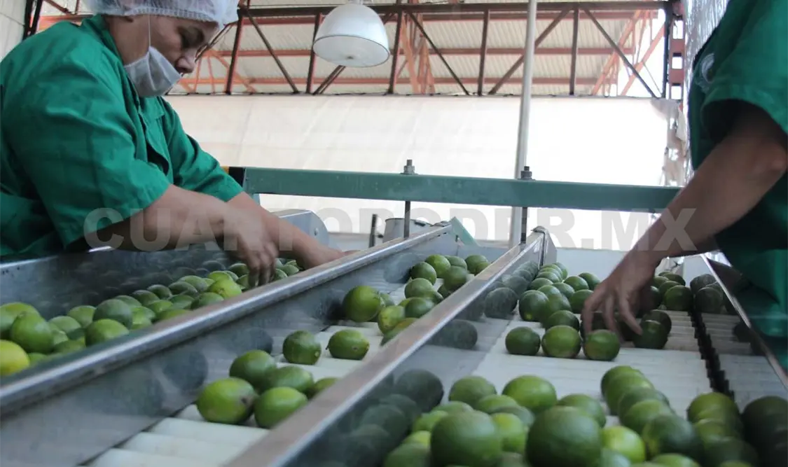 Sagarpa destaca potencial exportador