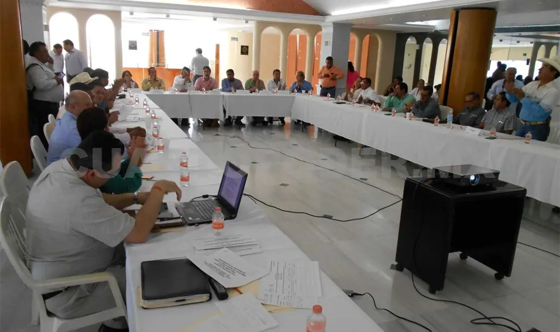 Ingresan más de 1 millón de ejemplares de contrabando