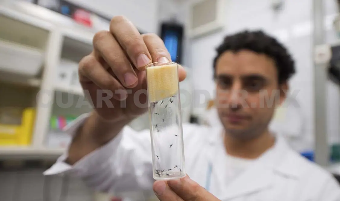 Vacuna experimental del zika, en primera fase