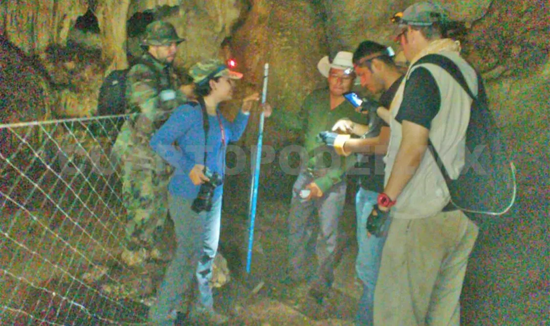 Realizan inventario de mamíferos voladores