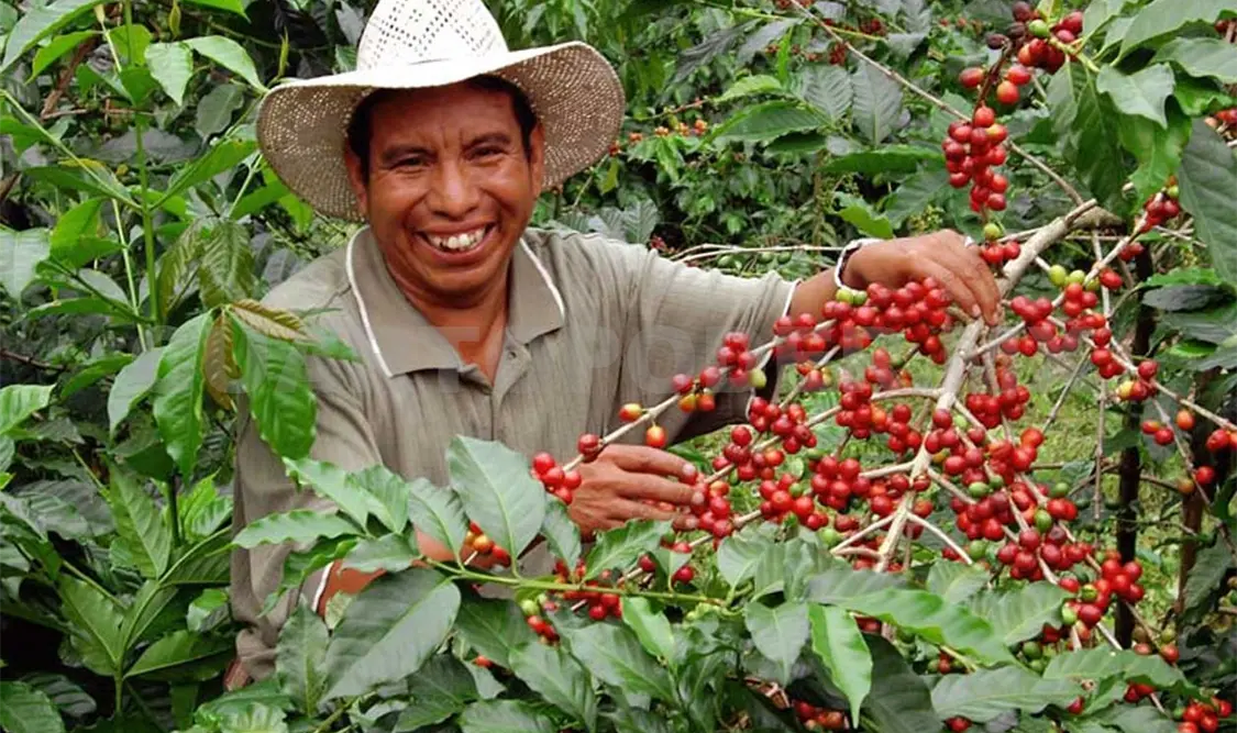 Fundación Network en apoyo al comercio