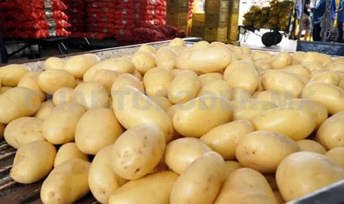 Prohíben la importación de papa