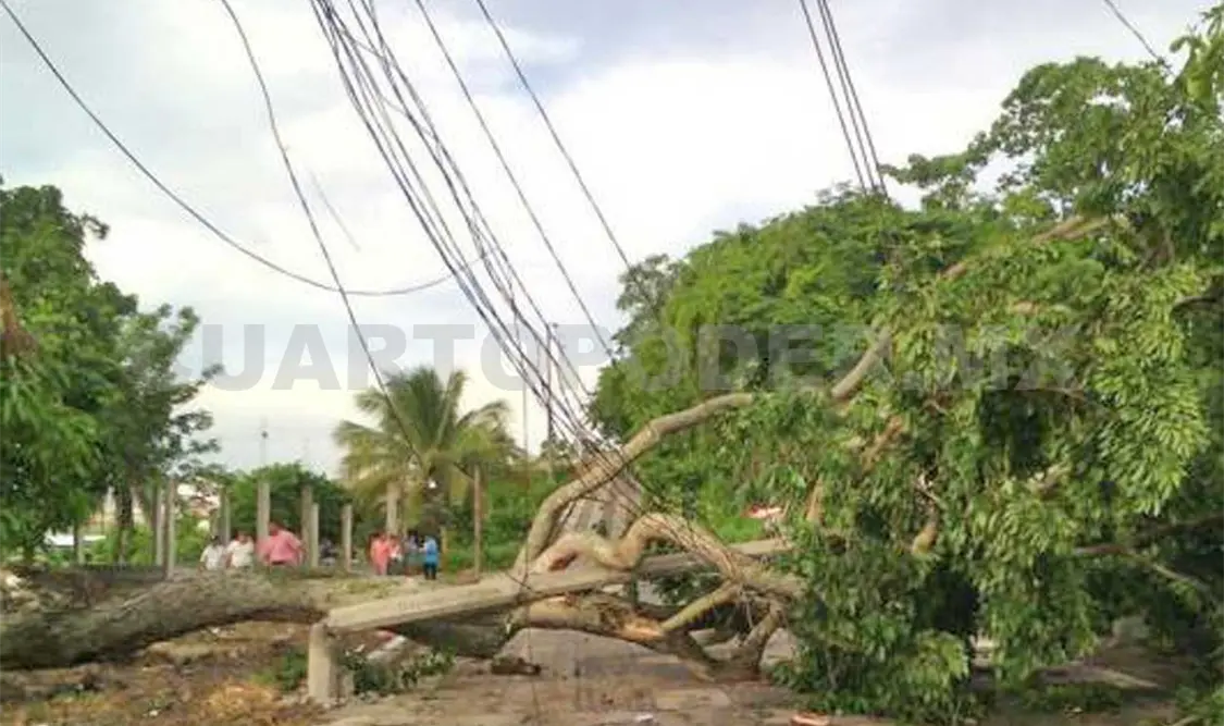 Las rachas de viento de la onda tropical 8 desprendieron techos, arrancó árboles y suspendió el servicio de energía eléctrica.