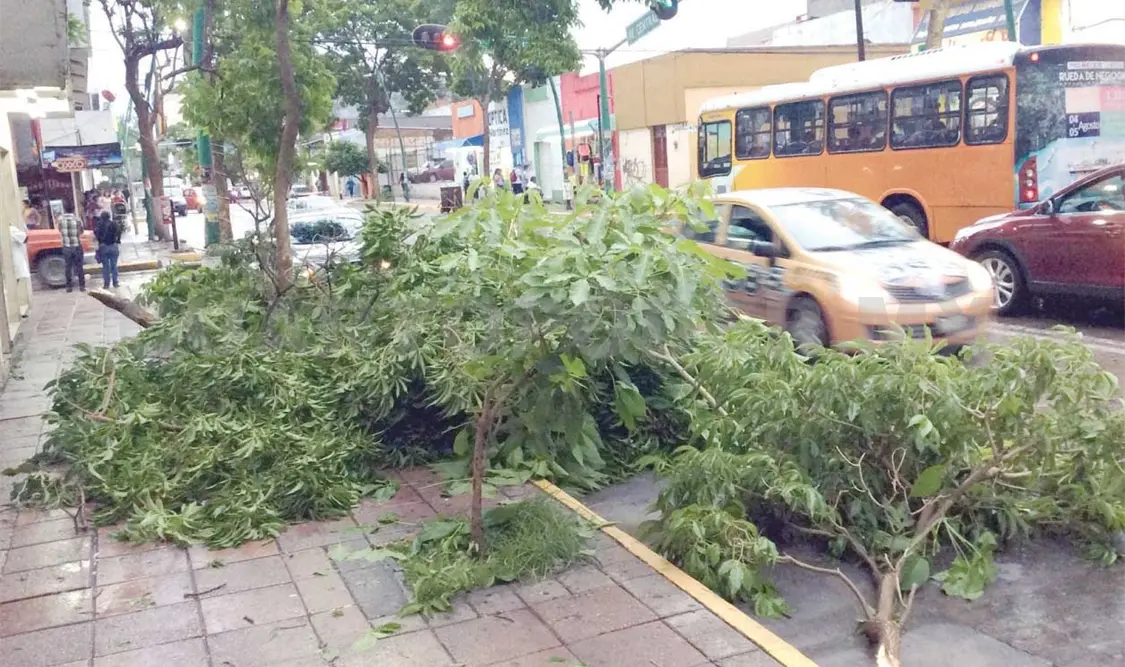 Tormenta sorprende la Zona Metropolitana