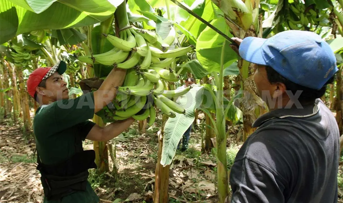 Situación crítica por bloqueos: productores
