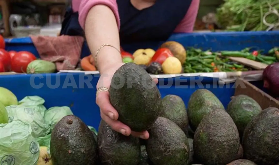 Hasta en 70 pesos el kg de aguacate