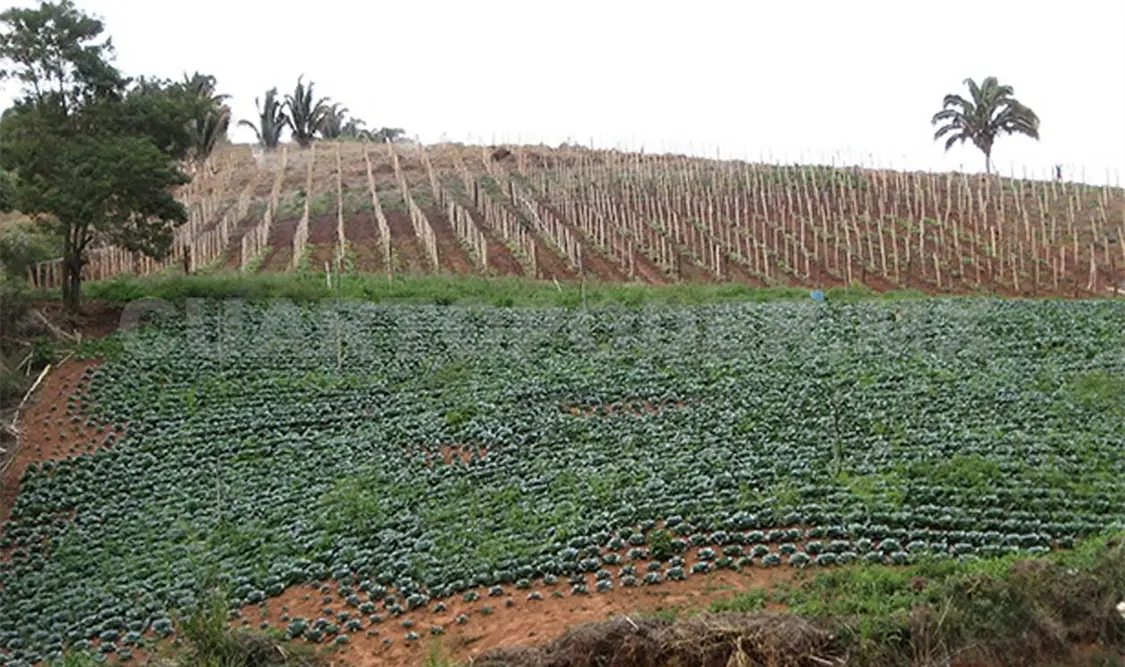 En breve, nueva Ley Rural para Chiapas