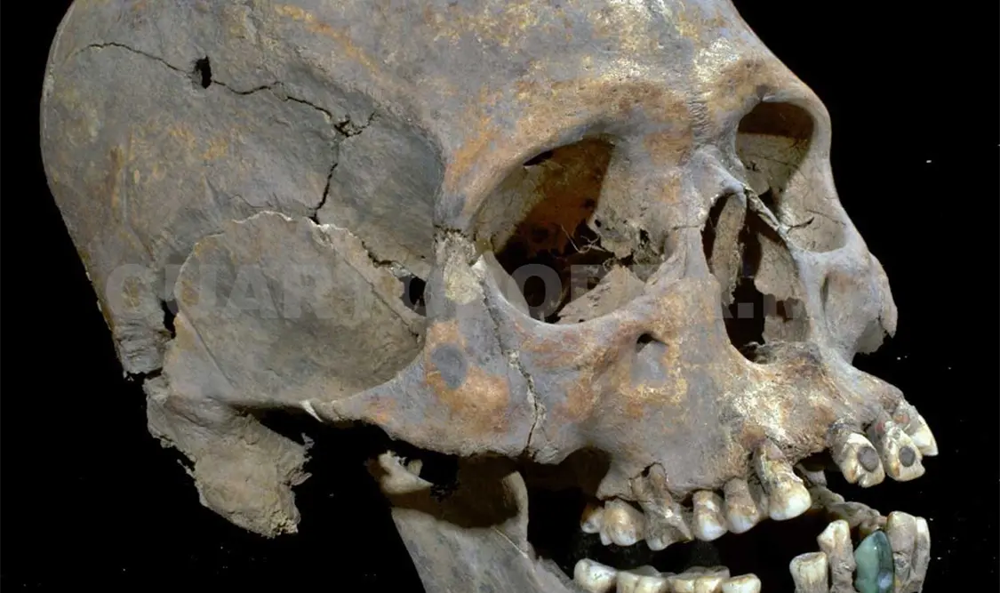 El cráneo de “La mujer de Tlailotlacan”. Cortesía