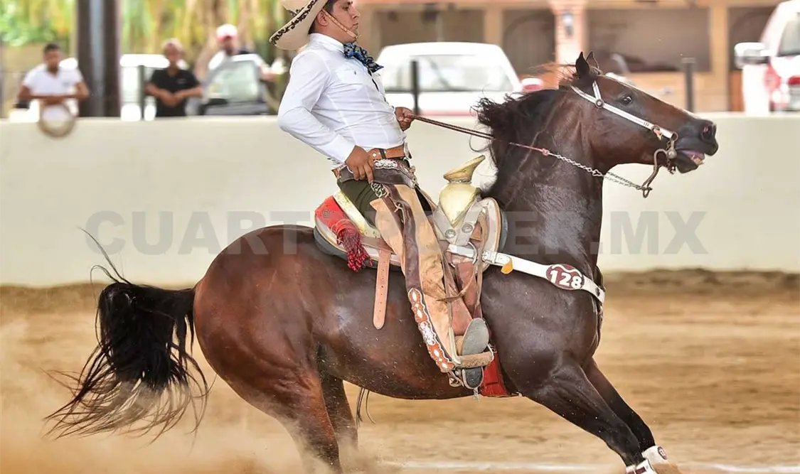Ciudad Real va al Nacional 2016