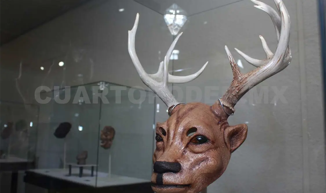 Inauguran “La Personificación Animal a través del Tiempo”