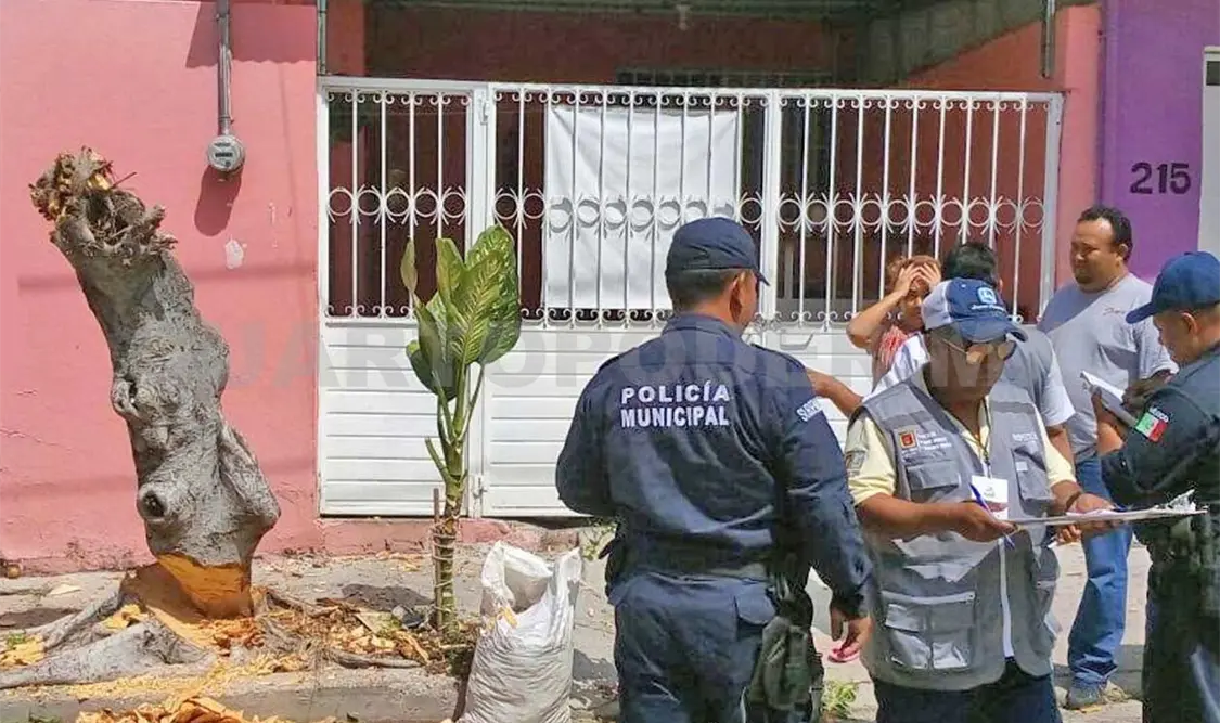 Aprehenden a sujeto por derribar árbol sin permiso del Ayuntamiento