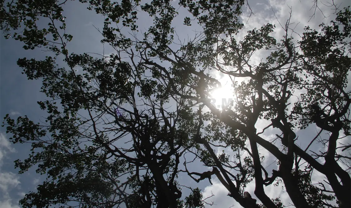 Se esperan temperaturas de entre 40 y 45 grados centígrados durante este estiaje. Guillermo Ramos / CP.