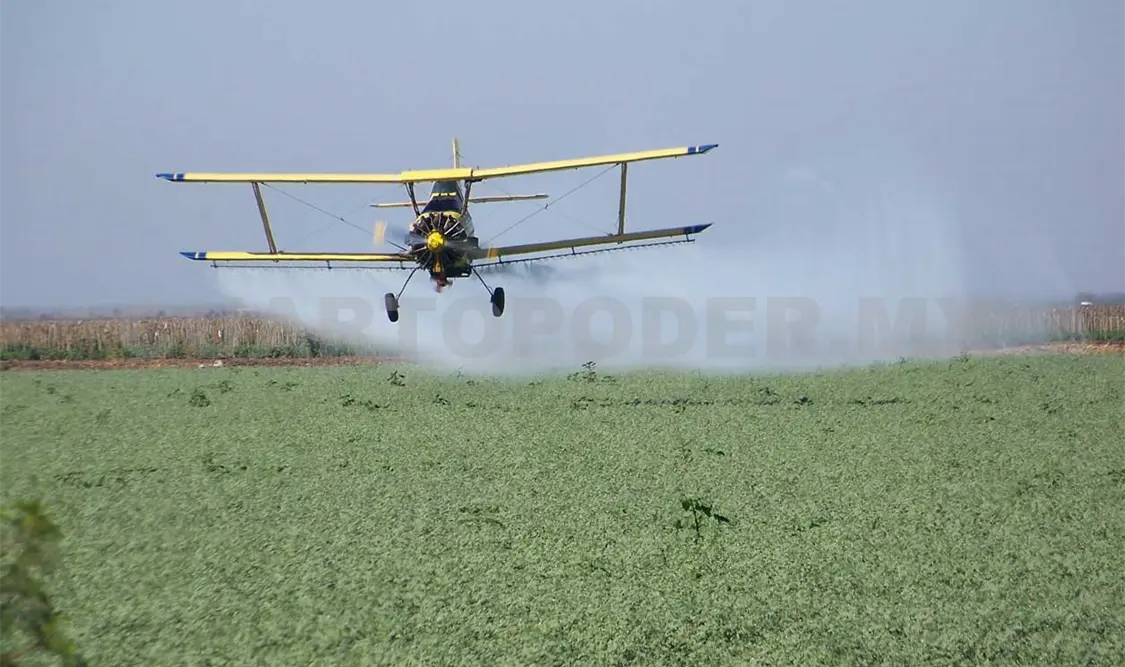 Avanza posibilidad de librar moscos contra el zika