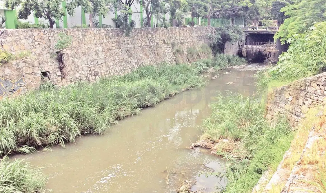 Sabinal recibe 33 descargas negras ilegales