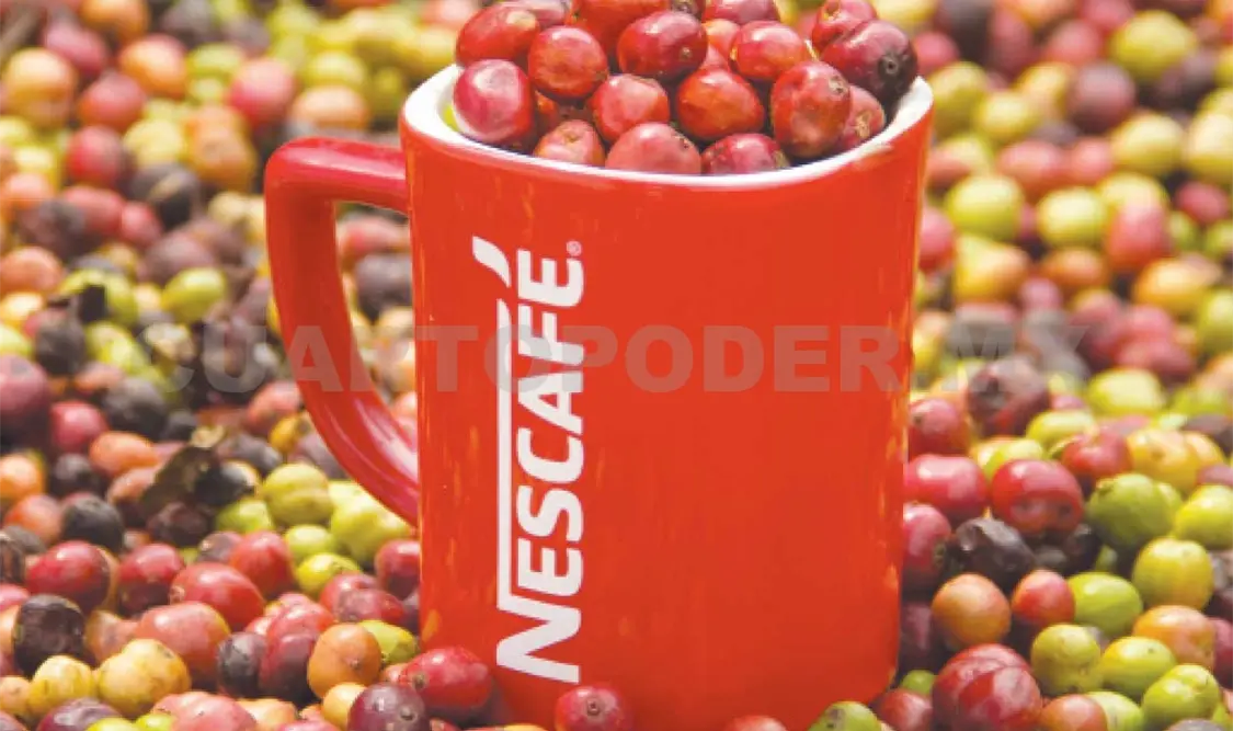 Plan Nescafé ha entregado 16,7 millones de plantas resistentes a la roya