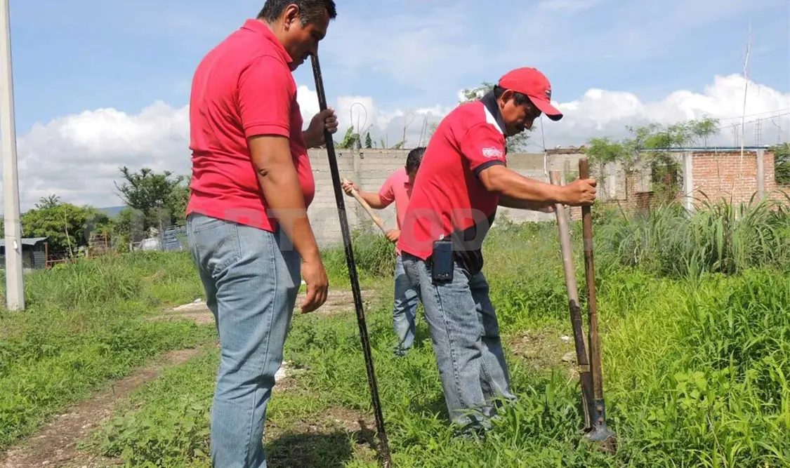 Asociación civil realiza actividades de reforestación