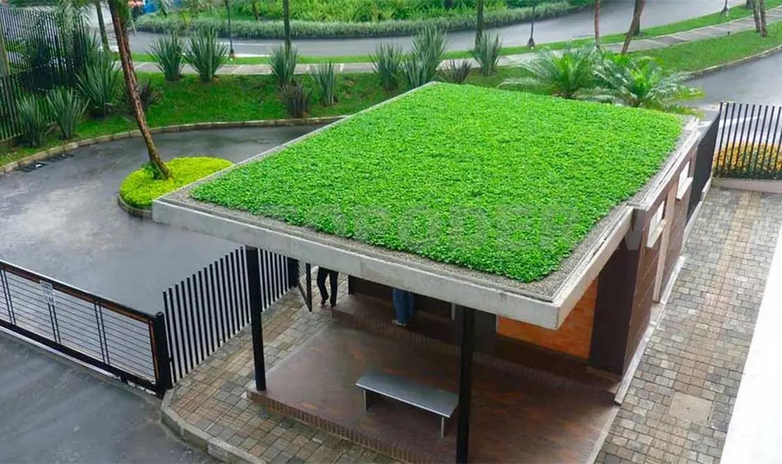 Crean techos verdes que disminuyen calor