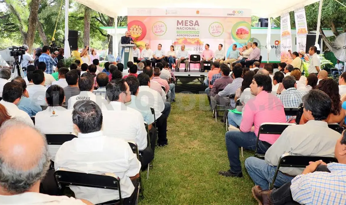 Ponen en marcha Mesa Nacional Agropecuaria