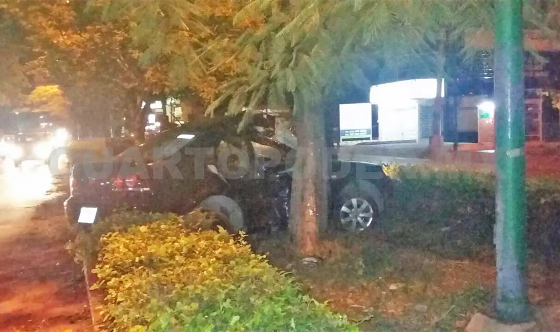 Jetta choca contra árbol en camellón