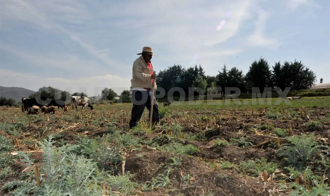 Secretarios atienden demanda campesina