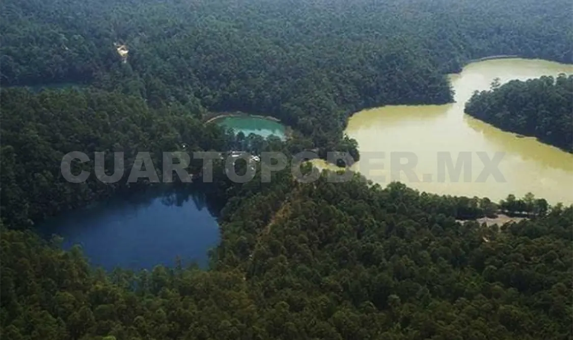 Reportan avances en rescate de Lagunas de Montebello