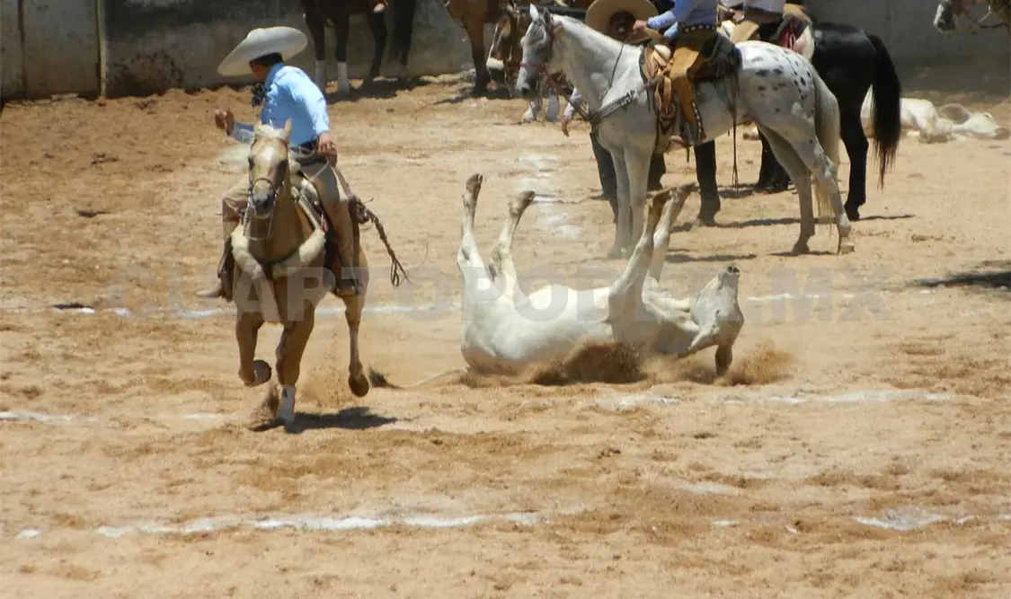 Coita festeja 50 años de historia con magno torneo