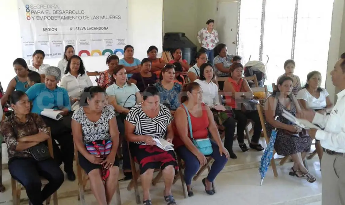 Los programas Una semilla para Crecer y Microempresas Sociales benefician a mujeres microempresarias. CP