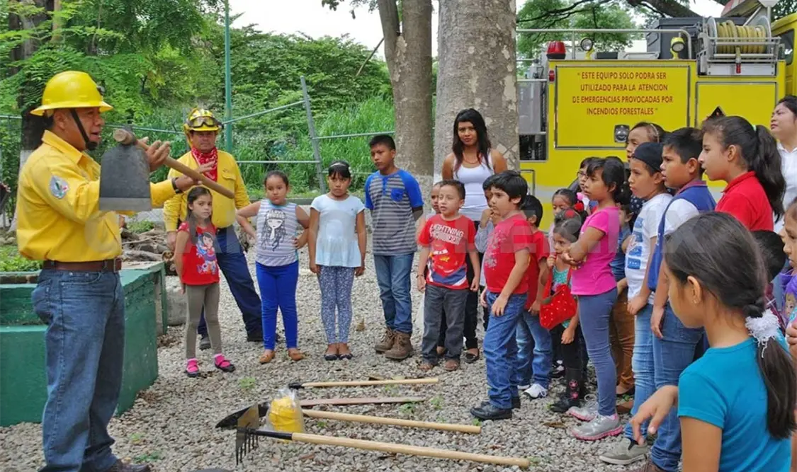 Cerca de 30 niños tuvieron este verano una crecimiento a los temas forestales. Cortesía