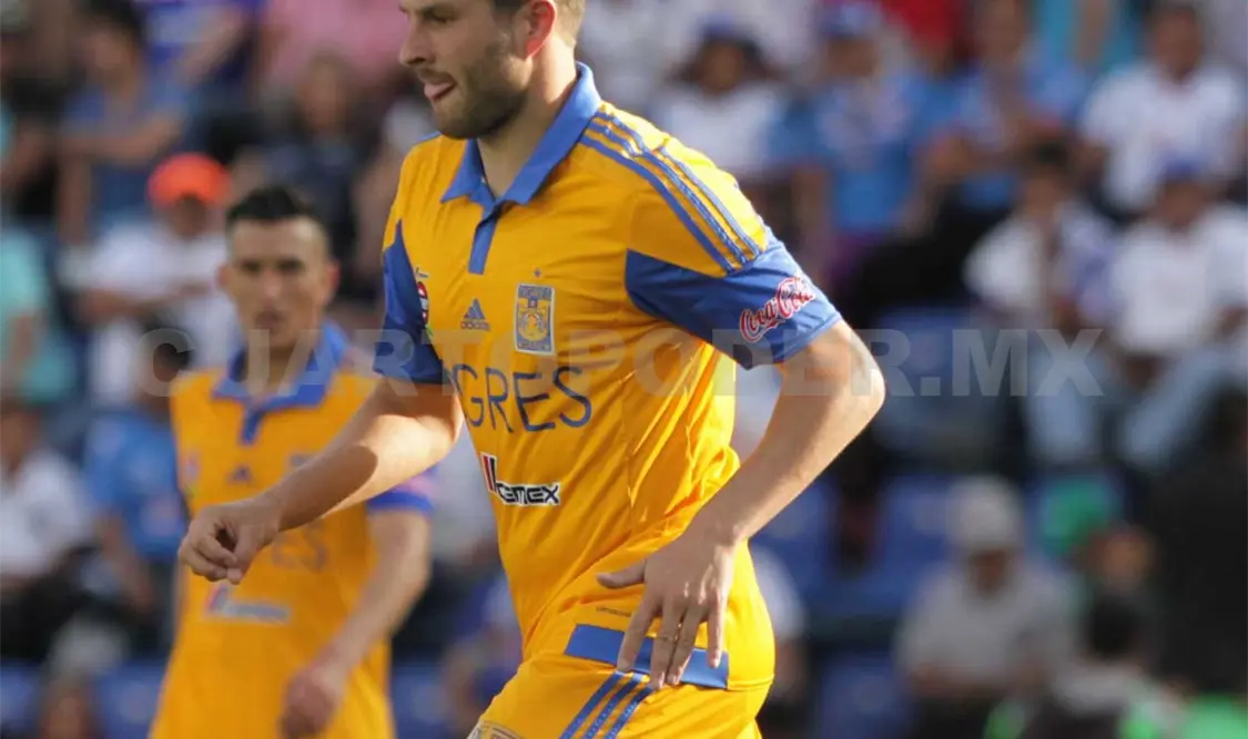 Tigres busca triunfo ante Plaza Amador