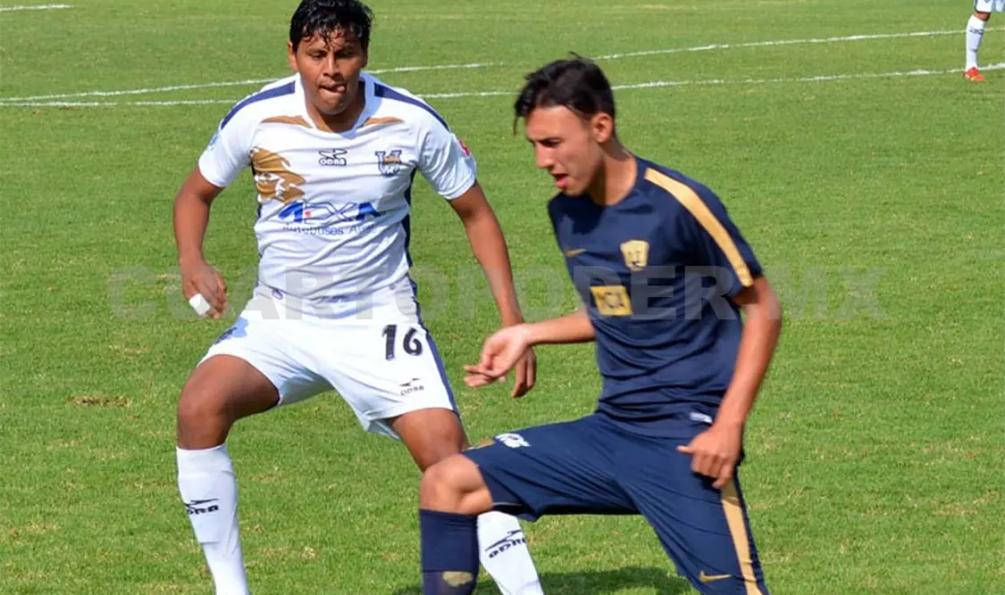 Ocelotes va por primer triunfo ante Canamy