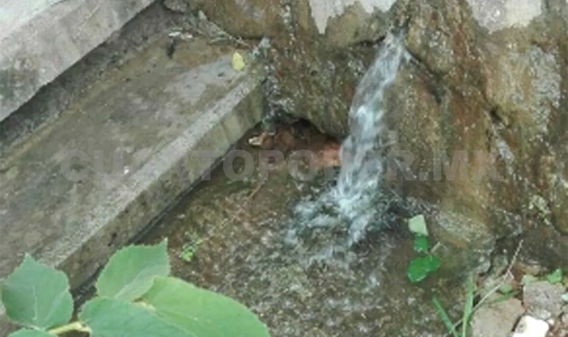Agua limpia desperdiciada es utilizada para lavar taxis. CP