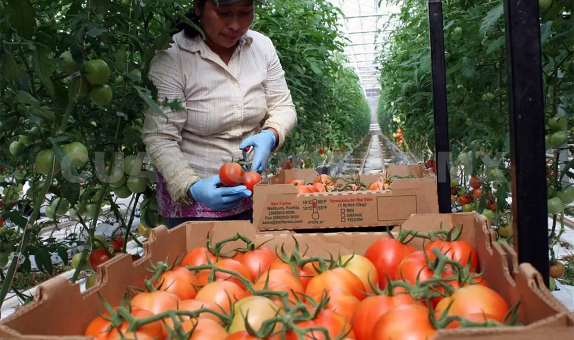 Gran parte de los recursos van para el sector del campo y ganadero. Guillermo Ramos / CP