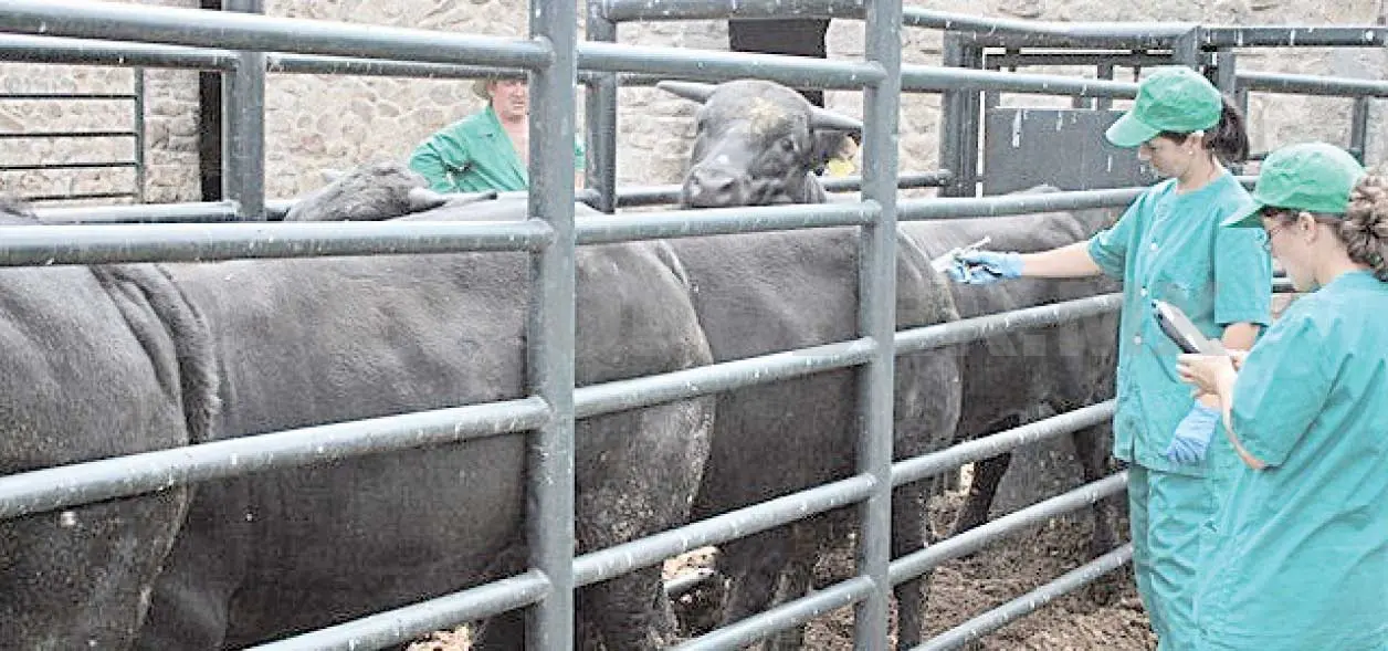 Realizarán México y EUA, inspección zoosanitaria a Chiapas
