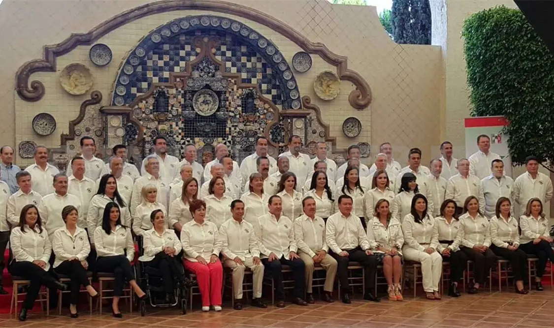 Novena Reunión Plenaria del PRI